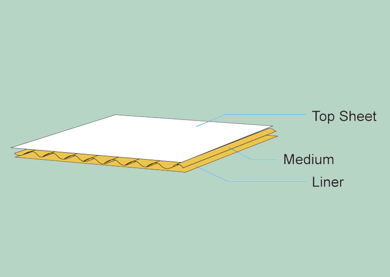 Components of a Corrugated Sheet An exploded view of a corrugated sheet showing the top liner, the medium, and the bottom liner as separate layers.